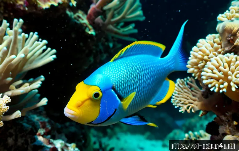 해양 생물의 색소와 생리 작용 - Photorealistic underwater macro scene off the coast of Fernando de Noronha, Brazil, showing a vivid ...